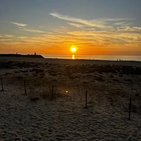 Casa Carvalho Laranjo Apartment